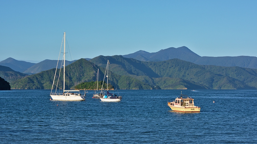 Boats in Picton Harbour