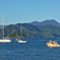 Boats in Picton Harbour