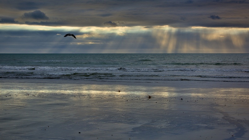Sunbeams, reflections on the beach, and flying seagull