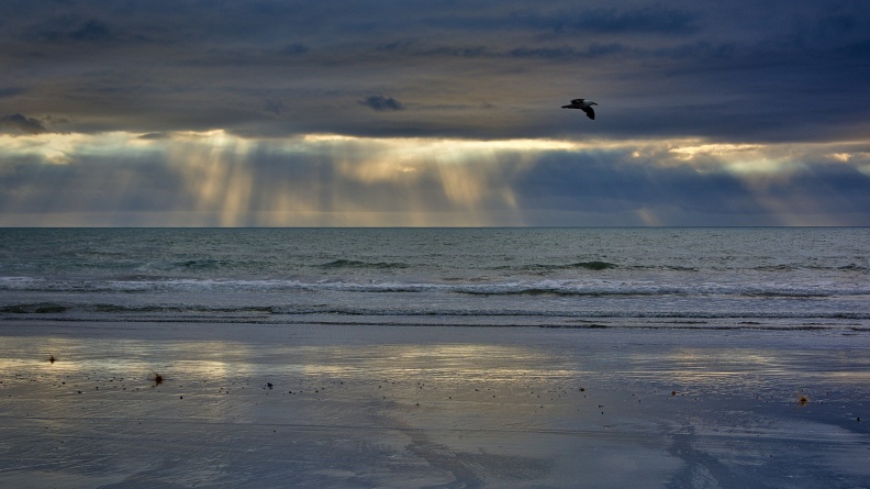 Sunbeams, reflections on the beach, and flying seagull