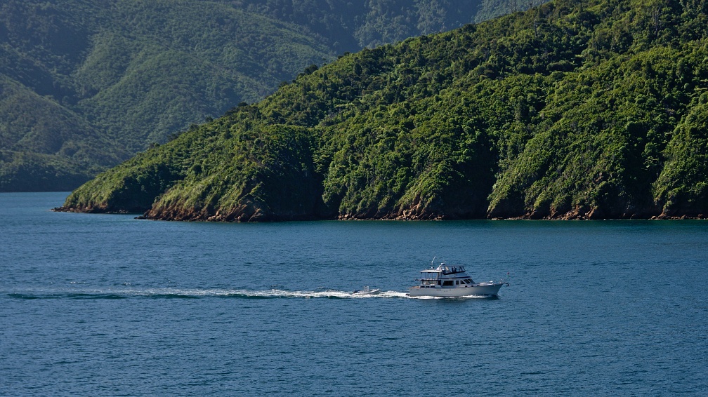 Yacht near Okahu Bay