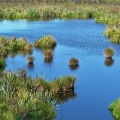 Sinclair Wetlands