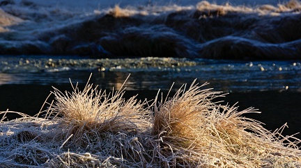 First sunrays on frosty grass by Route Burn