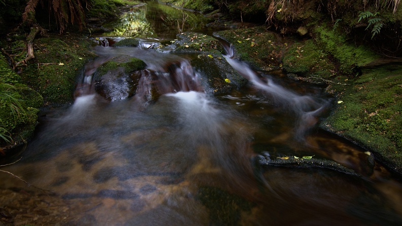 Tiny three-pronged waterfall on unnamed creek
