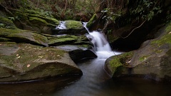 Small waterfall on unnamed creek between Yellow and Hermit Ridge