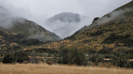 Clouds and vegetation in the valley