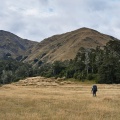 Tramping up Anne Valley
