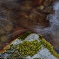 Mossy rock and flowing water