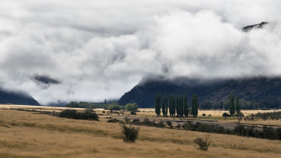 Poplars and clouds in Boyle Valley
