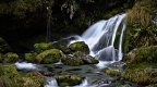 Small waterfall with green mossy boulders