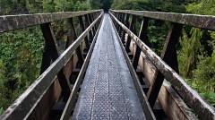 Historic Edwin Burn Viaduct