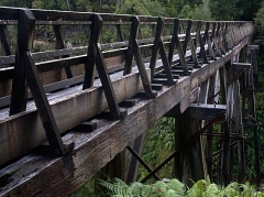Structure of Edwin Burn Viaduct