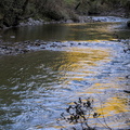 Glimpses of morning sunshine in Waikaia River