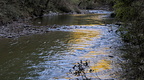 Glimpses of morning sunshine in Waikaia River