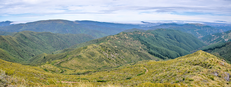Track along Long Ridge