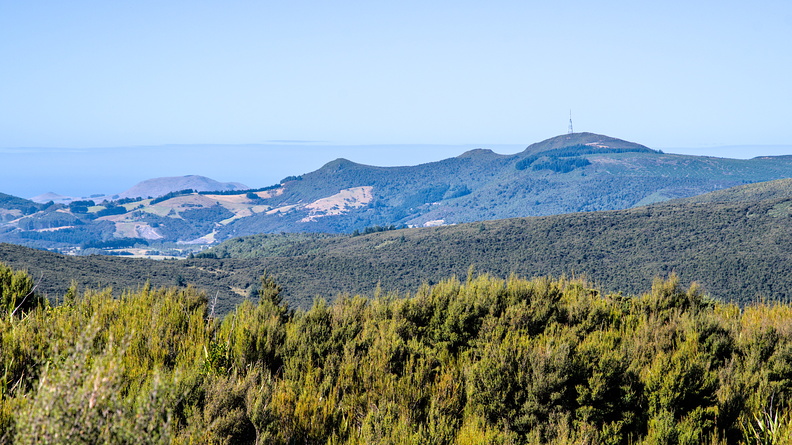 Mt Cargill and Otago Peninsula from point 588 on Greengage Track