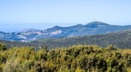 Mt Cargill and Otago Peninsula from point 588 on Greengage Track