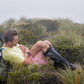 Rest in the tussock