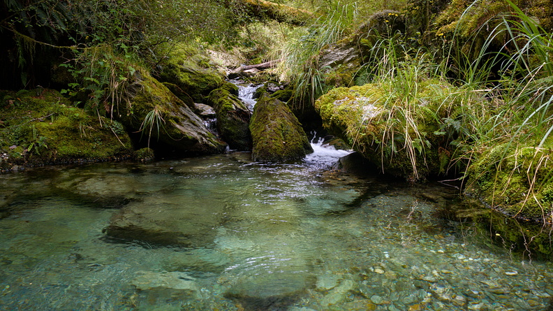 Mossy stream with a large pool