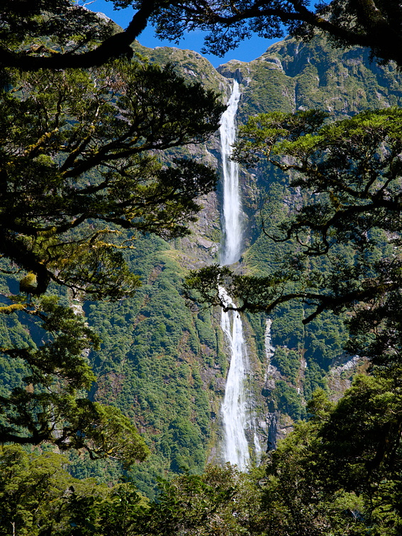 Sutherland Falls through forest