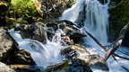 Paradise Creek waterfalls