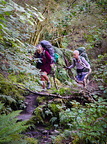 Trampers walking along a track in forest