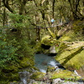 Swing bridge over Stag Creek